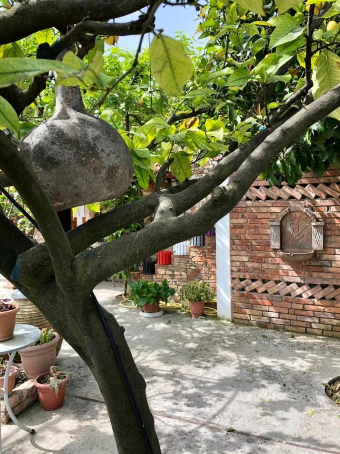 Villa Muzhaqi Nivice Buitenkant foto