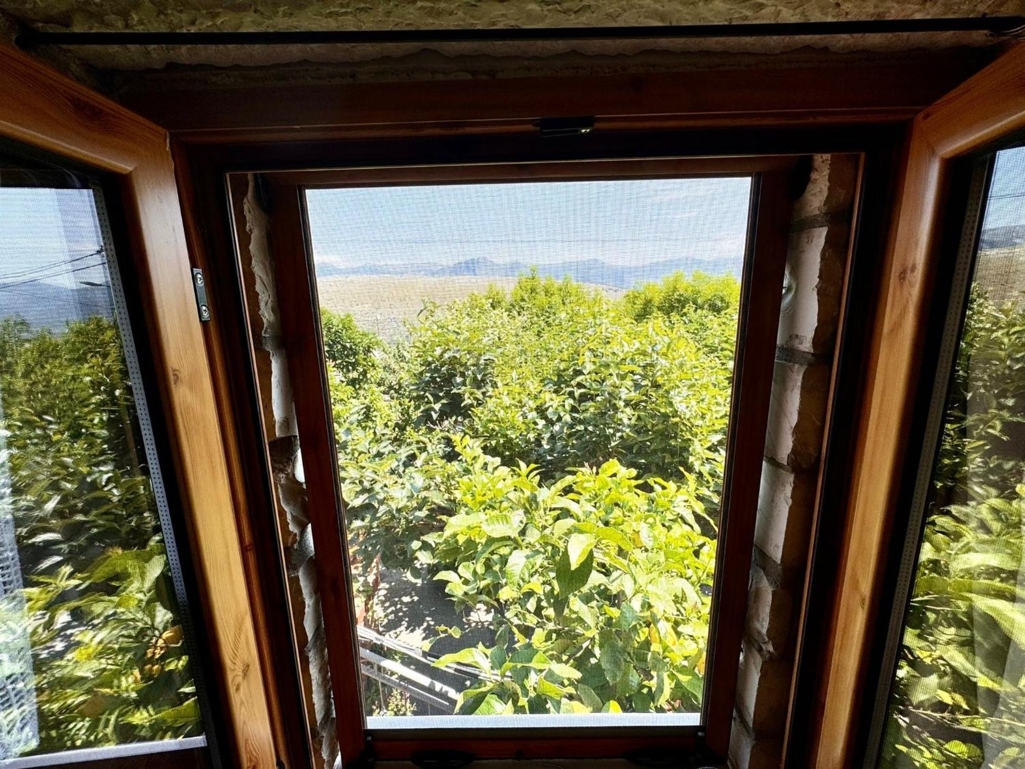 Villa Muzhaqi Nivice Buitenkant foto